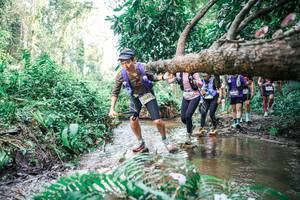 BIB: 
                            <button type="button" onclick="openModal(25478558)" class="btn btn-primary btn-sm float-right btn-popup" data-toggle="modal" data-target=".modal-high-quality">
                        <i class="fas fa-shopping-cart"></i> Add to Cart
                    </button>
                                            <button type="button" onclick="isThisMe(25478558, true)" class="btn btn-success btn-sm float-right btn-popup btn-isme hidden" data-toggle="tooltip" data-placement="bottom" title="นี่คือรูปของคุณใช่ไหม คลิกที่นี่เพื่อเอาเข้าอัลบั้ม">
                        <i class="fas fa-plus"></i> Add to album
                    </button>
                    <button type="button" onclick="isThisMe(25478558, false)" class="btn btn-warning btn-sm float-right btn-popup btn-isnotme hidden">
                        <i class="fas fa-ban"></i> Remove from album
                    </button>